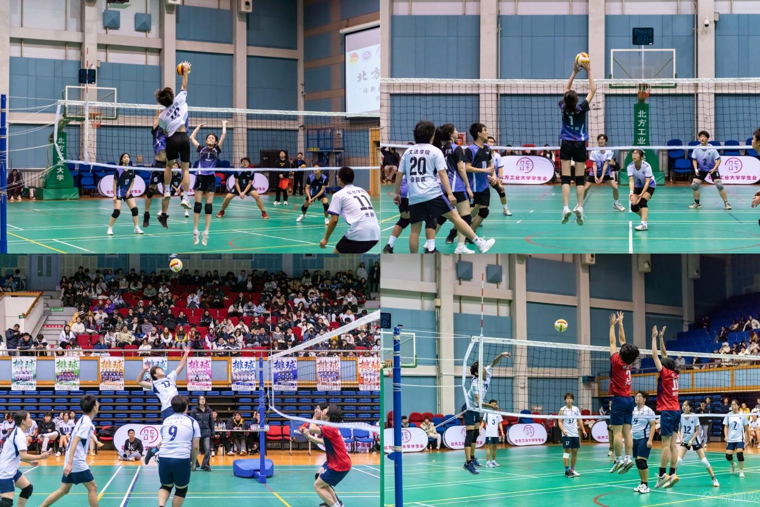 排球联赛合集.jpg 排球联赛合集.jpg